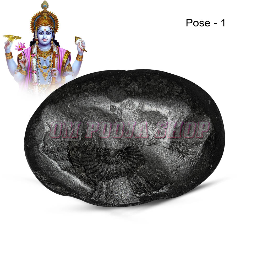 Sri Vishnu Roopam Shaligram Shila