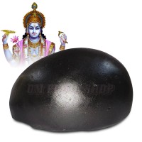 Vishnu Roopam Shaligram | Vishnu's Footprints on Shaligram Shila
