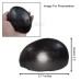 Vishnu Roopam Shaligram | Vishnu's Footprints on Shaligram Shila