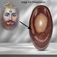 Rudra Mukha Nageshwar Banlingam Singham Narmada Shivling (Size_3.5x1.9 inch)