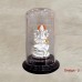 Shri Ganesha in Pure Silver Divine Gift in Air Proof Acrylic Box
