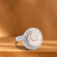 Gomati Chakra Ring - Design V in Pure Silver