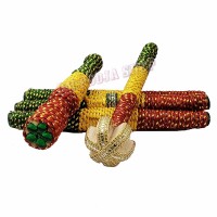 Traditional Gujarati Marriage Pokhna / Pokhana